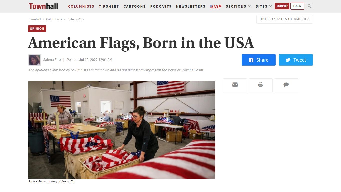 American Flags, Born in the USA - Townhall